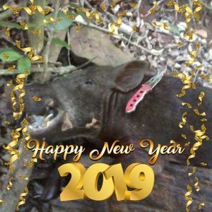 Meet your Posher, Walter